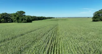 What Is Your Farmland Really Worth?