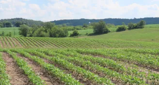 You Don't Have to Give a Third of Your Land Sale to the Government