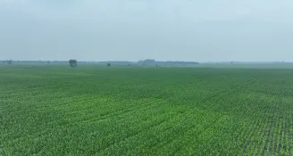 Image description