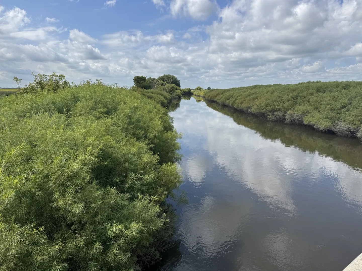 Shakopee Creek - Drain