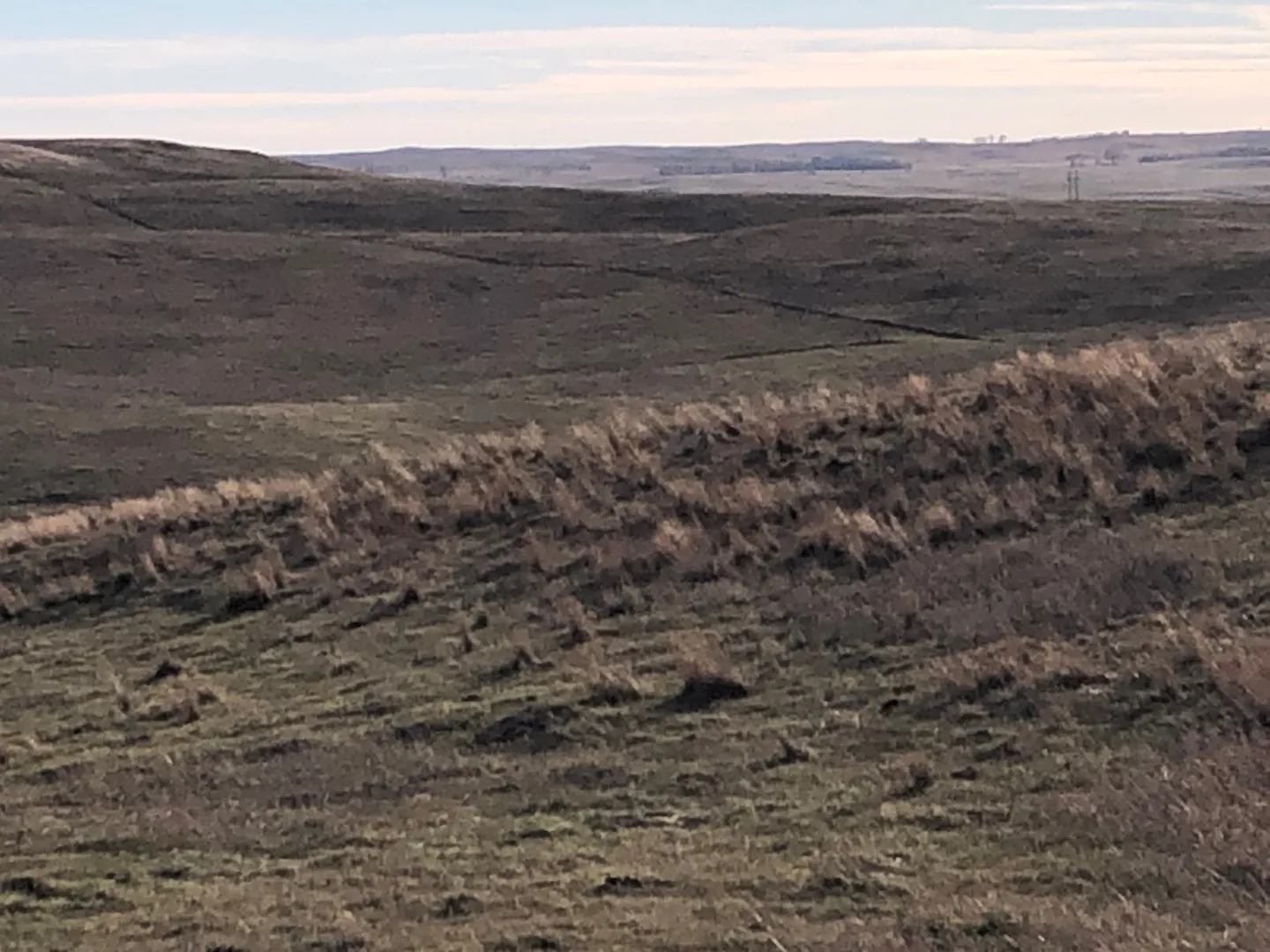 Property information Image