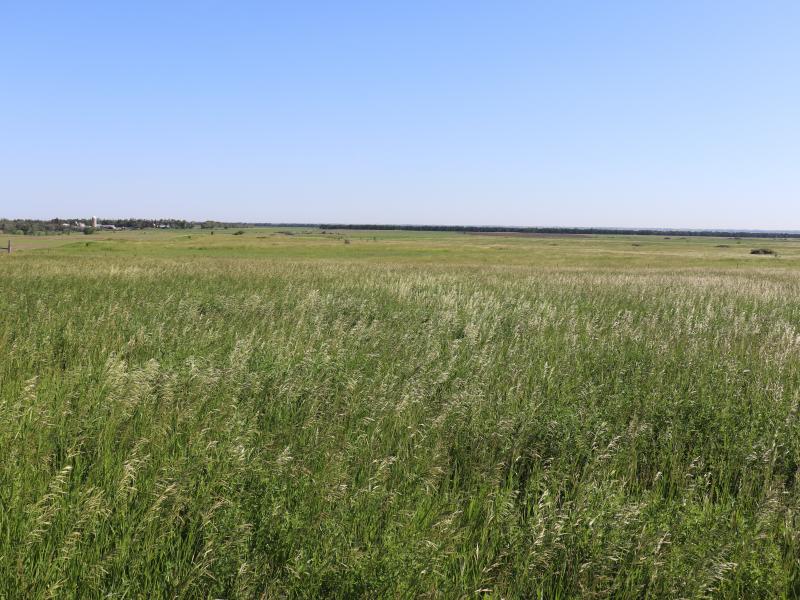 Pasture, Crop, Hunting or Hay Land Near Butte, North Dakota
