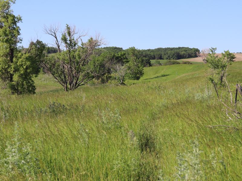 Pasture, Crop, Hunting or Hay Land Near Butte, North Dakota