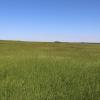 Crop, Pasture, or Hay Land Parcel