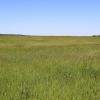 Crop, Pasture, or Hay Land Parcel